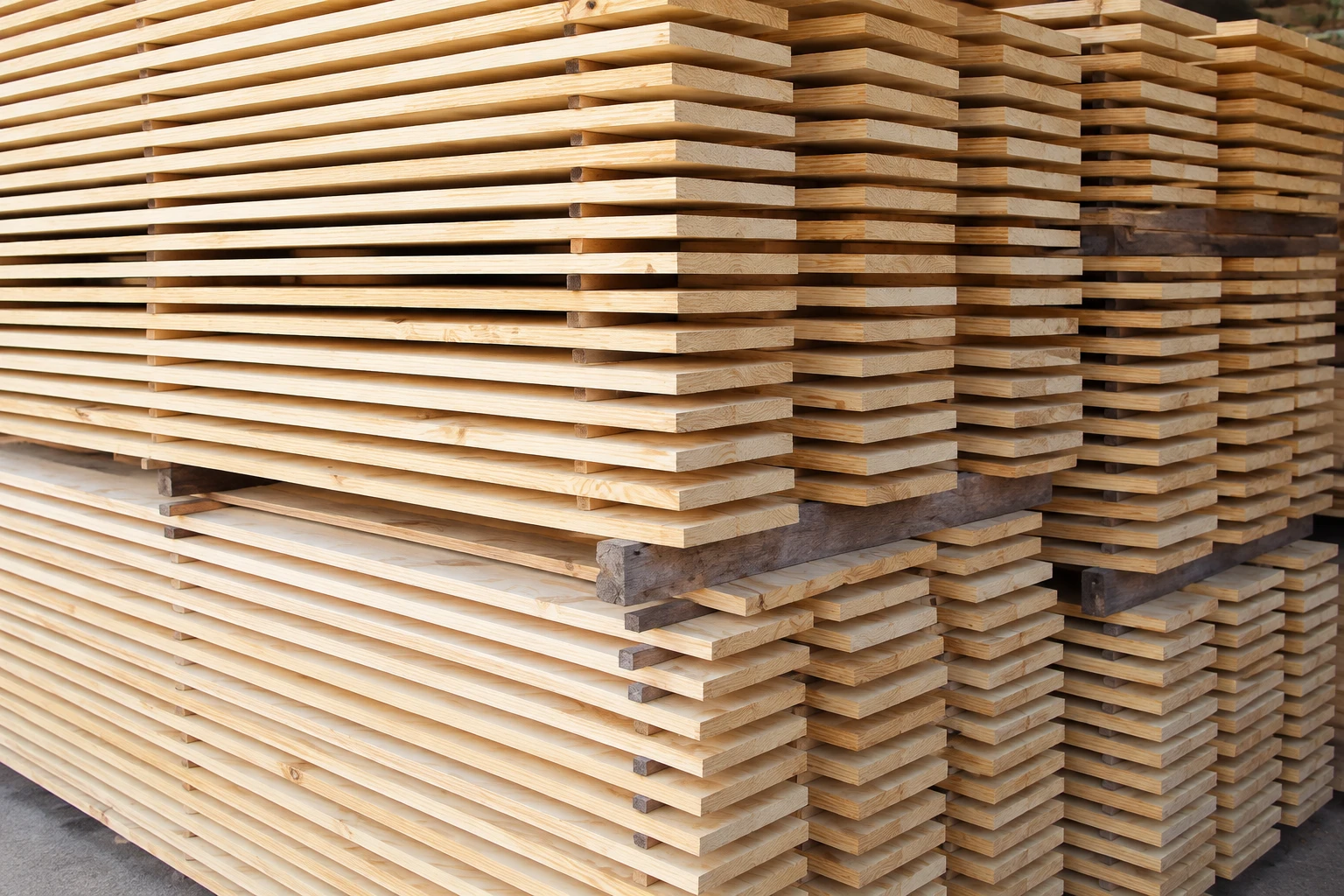 Madeiras Brutas de Pinus | Scharlau Madeiras